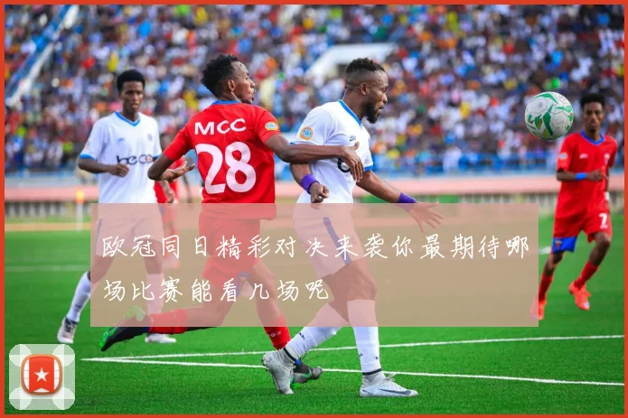 欧冠同日精彩对决来袭你最期待哪场比赛能看几场呢