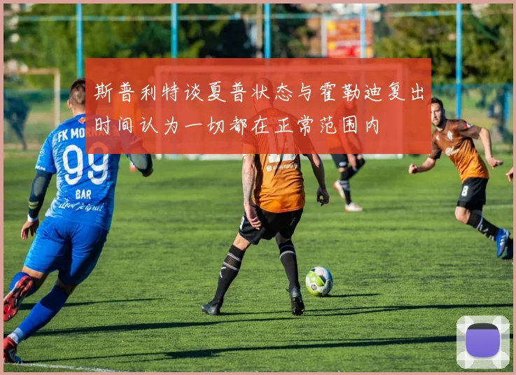 斯普利特谈夏普状态与霍勒迪复出时间认为一切都在正常范围内