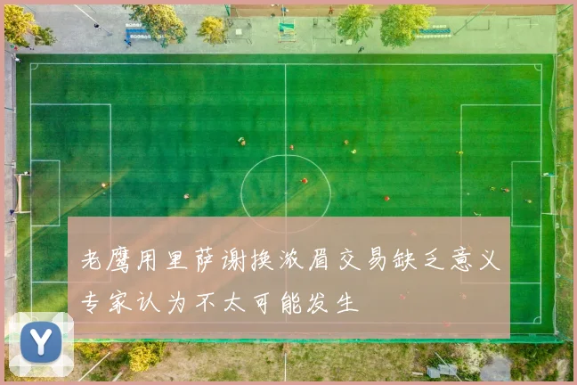 老鹰用里萨谢换浓眉交易缺乏意义专家认为不太可能发生