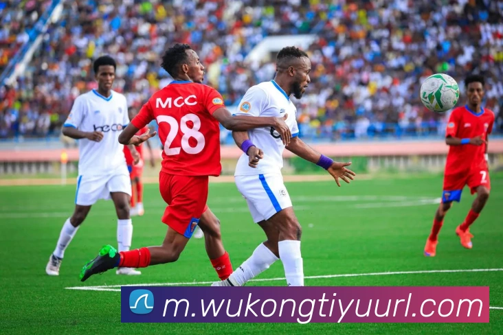 悟空体育APP 封面图