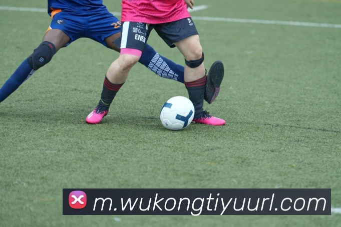 数据防护可视化